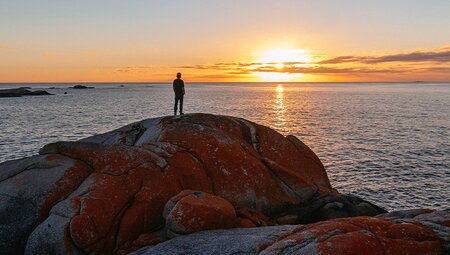 Walk Tasmania's Bay of Fires