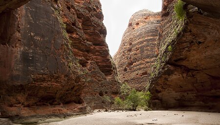 Broome to the Bungle Bungles