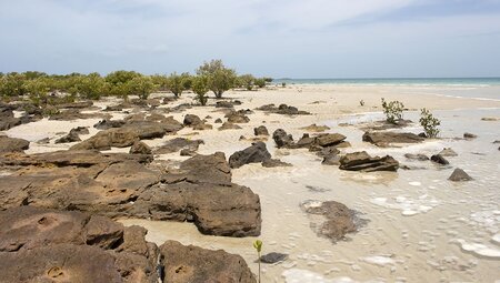 Dampier Peninsula & the Kimberley Coast 