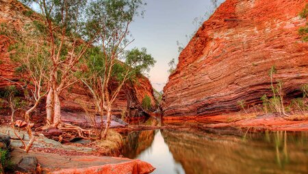 Perth to Broome Safari