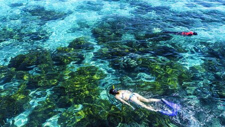 Sydney to Cairns Adventure