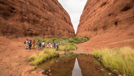 Uluru & Kings Canyon Family Adventure