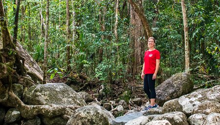 Best of Cairns, Great Barrier Reef & Daintree 