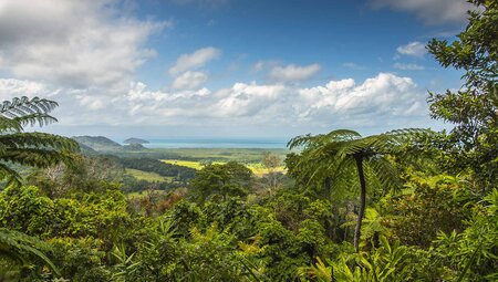 Brisbane to Cairns Adventure