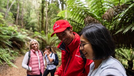 Tasmania Adventure