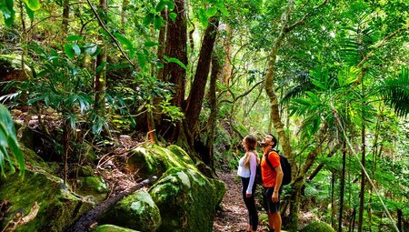 Walk Queensland's Scenic Rim