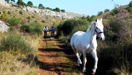 Cycle Croatia & the Balkans