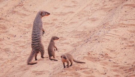 Amazing Southern Africa