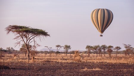 Johannesburg to Kenya