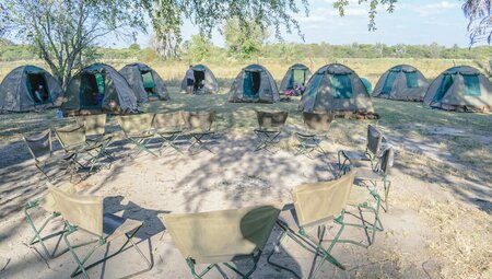Johannesburg to Kenya