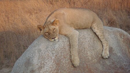 Johannesburg to Zanzibar