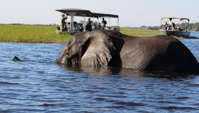Okavango Experience