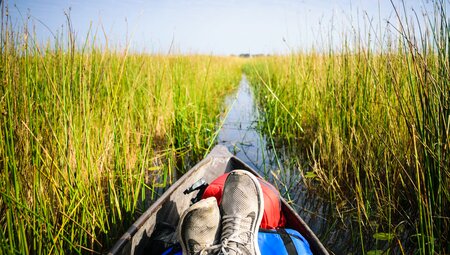 Okavango Experience