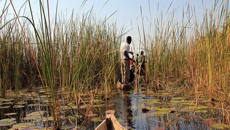 Okavango Experience