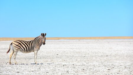 Okavango Experience