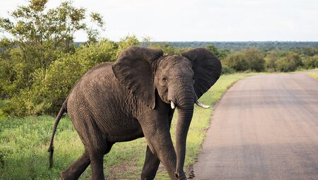Explore Southern Africa