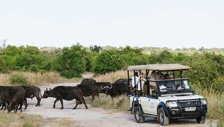 Explore Southern Africa