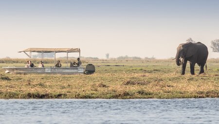 Premium Botswana