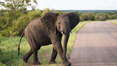 Kruger to Vic Falls