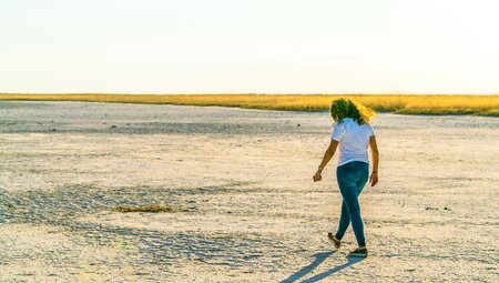 Kruger to Vic Falls