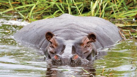 Botswana Highlights