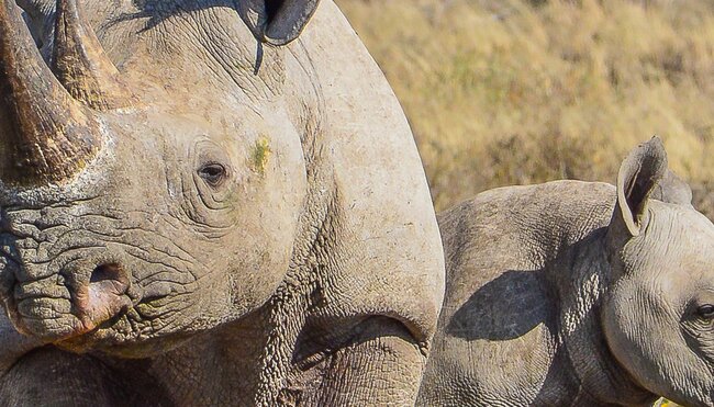 Botswana Family Safari with Teenagers