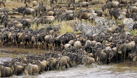 Africa Encompassed Northbound
