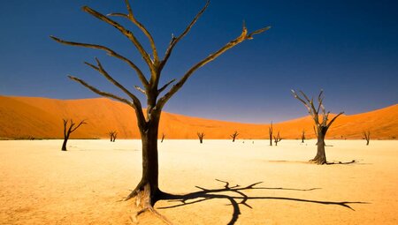Africa Encompassed Northbound