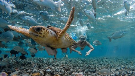 Best of Central America