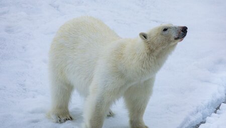 Northwest Passage: The Legendary Arctic Sea Route