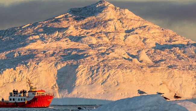 High Arctic Explorer - Canada to Greenland (Ocean Endeavour)