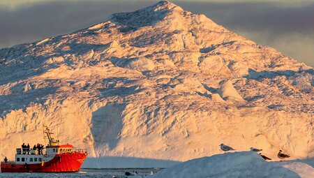 High Arctic Explorer - Canada to Greenland (Ocean Endeavour)