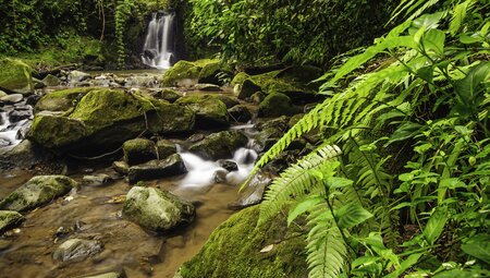 Best of Mexico & Costa Rica