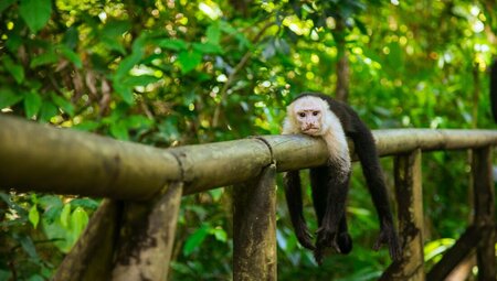 Best of Costa Rica