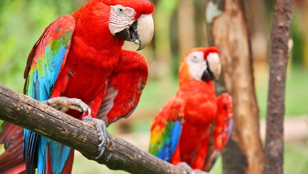 Costa Rica Family Holiday