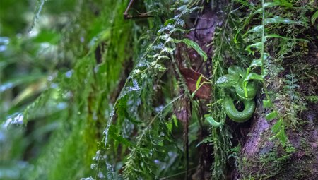 Costa Rica Family Holiday