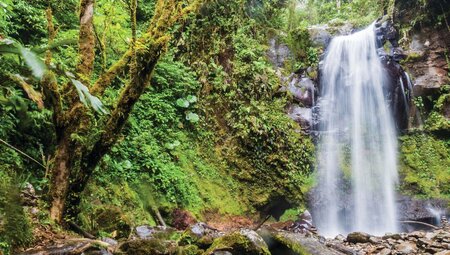 Costa Rica & Panama Discovery