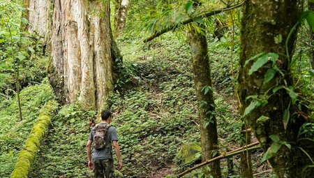 Costa Rica & Panama Discovery