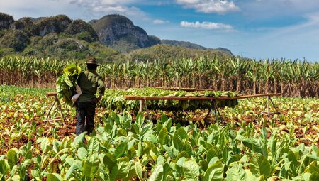 Hola Cuba - for US citizens