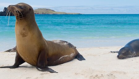 Galapagos Island Hopping