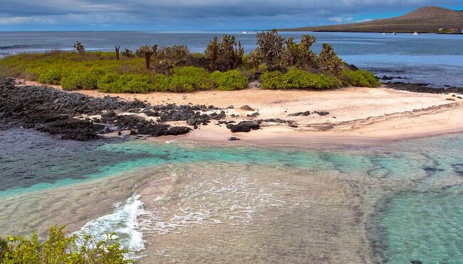 Galapagos at a Glance: Southern Islands (Grand Daphne)