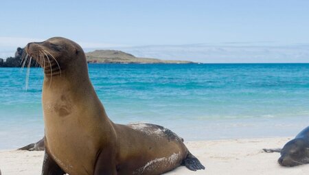 Classic Galapagos: Southern Islands (Grand Queen Beatriz)