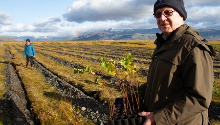 Intrepid travellers planting trees in Hvolsvollur Valley, Iceland