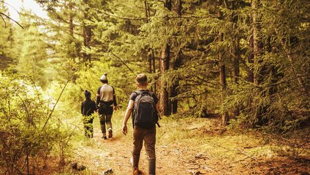 Family on a hike explore Finland's summer pine forests outside Levi