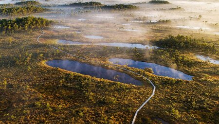 Hiking path through Soma National Park, Estonia