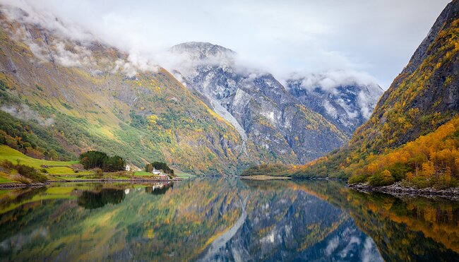 Premium Scandinavia - 1