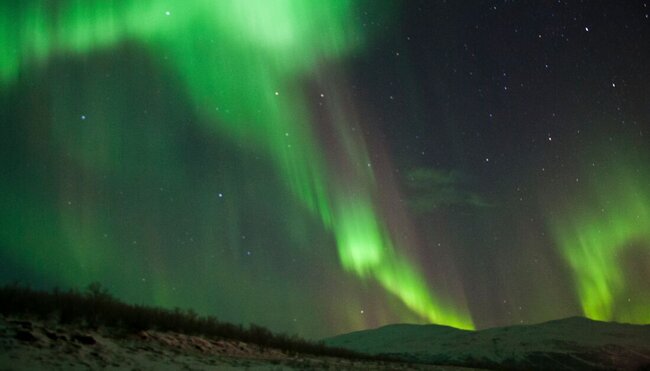 Nothern lights undulates glowing bright green over a night snowy landscape in Swedish Lapland