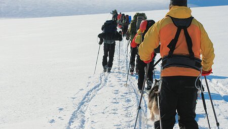 Trekking in the Arctic