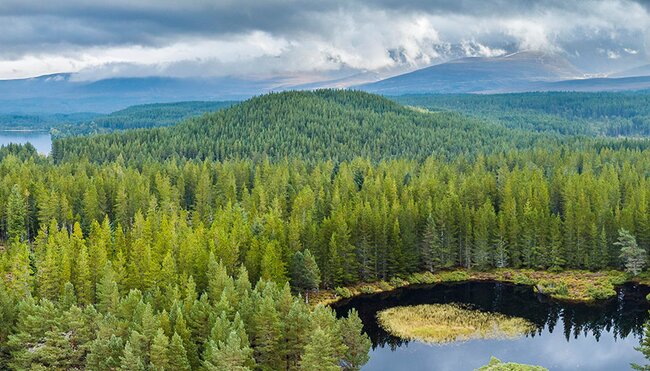 Aerial view of Cairngorms NP, Scotland