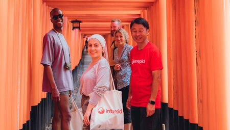 Group of Intrepid travellers and leader walking through the Fushimi Inari gates